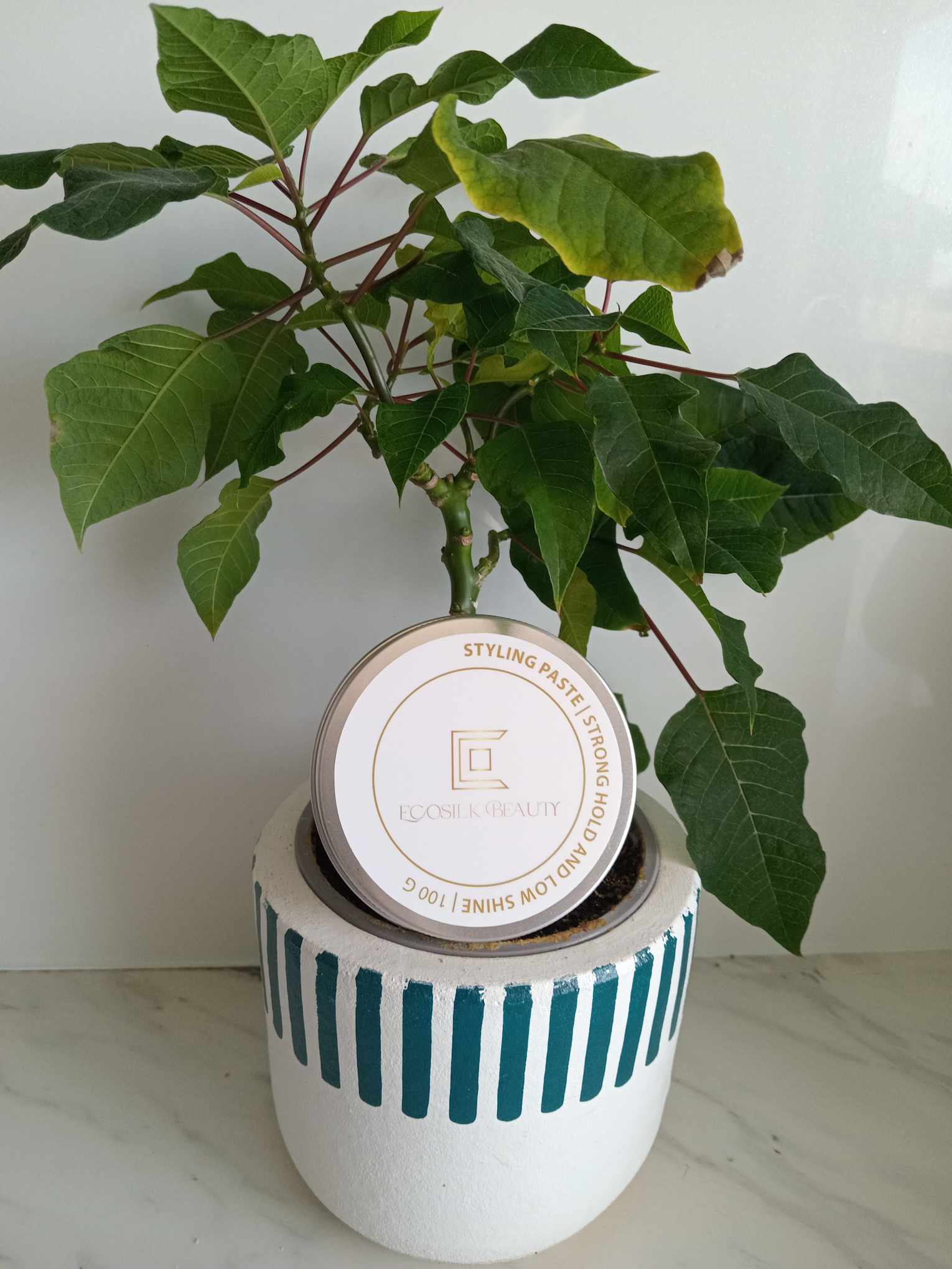 Ecosilk Styling Pomade Paste - Ecosilk Beauty